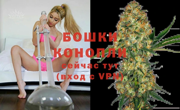 МДПВ Вязьма